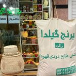 برنج گیلدا نوشهر