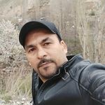 محمد تیموری