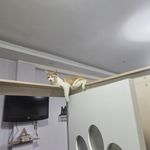 حسین سام کن