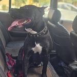 حسین سام کن