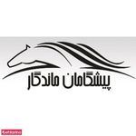 شرکت پیشگامان ماندگار