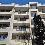 نصاب داربست حمید کوشکی