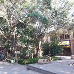 انتشارات معرفت گلزار