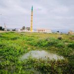 مسجد دهمیان