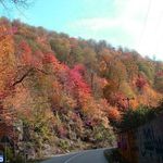 روستای زیارت