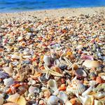 اقامتگاه بوم گردی پرک