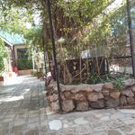 کافه رستوران چلچراغ