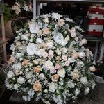 فروشگاه نوبل