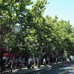 راسته لوازم ورزشی منیریه