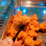 سوخاری کیلویی کرکس