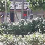 مشاورین املاک پالادیوم