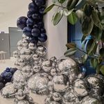 بادکنک آرایی تمشک