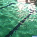 استخر شهید رجایی