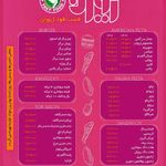 فست فود ژیوان