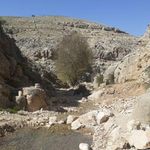 مدرسه ابتدایی دهگاه