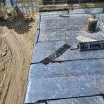 رامین پناهی شایق