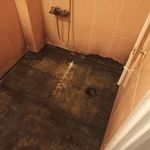 رامین پناهی شایق