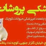 کلینیک دامپزشکی پروشات