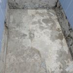 رامین پناهی شایق