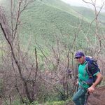 قلعه کوتول شاه