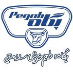 صنایع شیر ایران  پگاه 