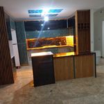 میلاد ذوالفقاریان