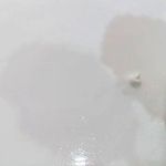 برنج شمال میلاد