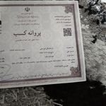 قالیشویی و مبل شوی و روفوگری  نیلوفر