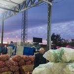 میدان میوه و تره بار زنجان