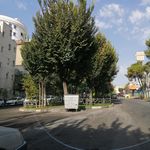 بوستان صداقت