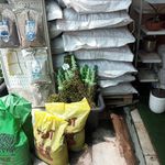 غرفه ۲۵ بازار گل بابایی خاک وسم گیاهان