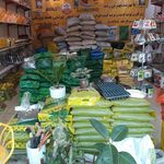 غرفه ۲۵ بازار گل بابایی خاک وسم گیاهان