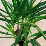 كلينيک پوست ،مو و زیبایی بيوتا