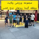 کلاب بوکس شاهین