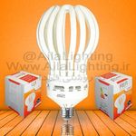 الکتریکی مریخی