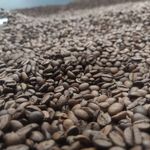 موادغذایی فدایی