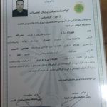 مهرداد زارع