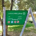 بوستان بنفشه