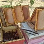 فروشگاه تخصصی عسل اصغرپور