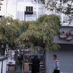 دکتر نظام نهرینی