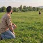 مرکز آموزش سگ سربروس