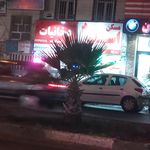 فروشگاه گل نرگس