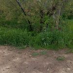 دپارتمان املاک قصر طلایی