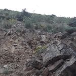 گچی قالاسی روستای ارلان