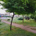 بوستان فرشتگان