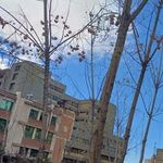 دانشکده مهندسی کامپیوتر و فناوری اطلاعات