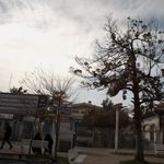 دکتر مرتضی رحیمی