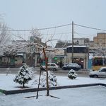 پارک خضر