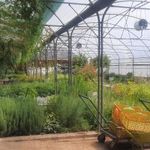 بازار گل و گیاه شهید لشگری