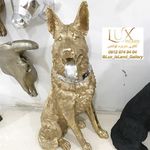 گالری جزیره لوکس
